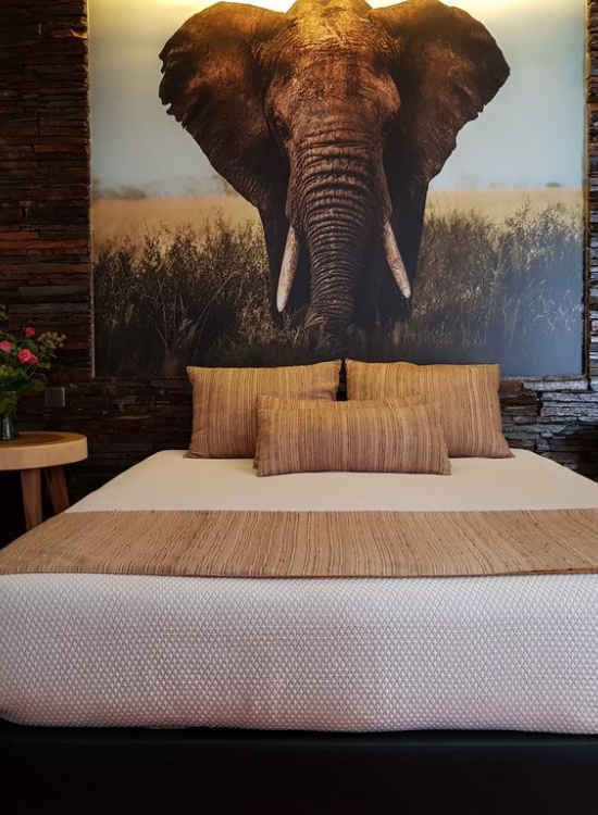 Suite Elefante